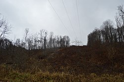 Kliring kecil di perkampungan padat woodlands