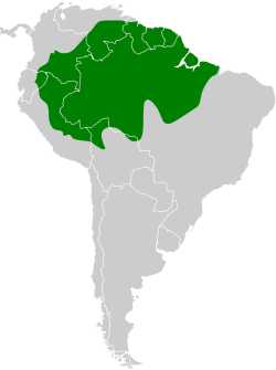 Distribución geográfica del ticotico lomicanelo.