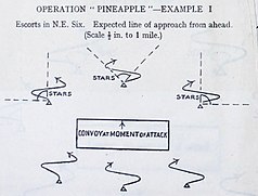 Pineapple (NE Six).jpg