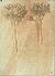 Pisanello - Codice Vallardi 2266 r.jpg