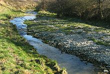 Trockengefallene Schotterbank im Winter