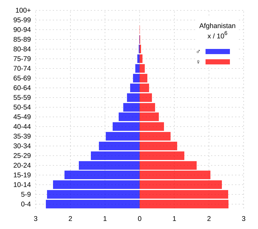 Возрастная структура норвегии. Половозрастная демографическая пирамида. Возрастно половая пирамида Афганистана. Половозрастная пирамида Турции. Половозрастная пирамида Эфиопии.