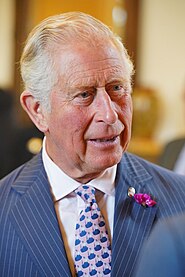 Prince Charles Ireland-4.jpg