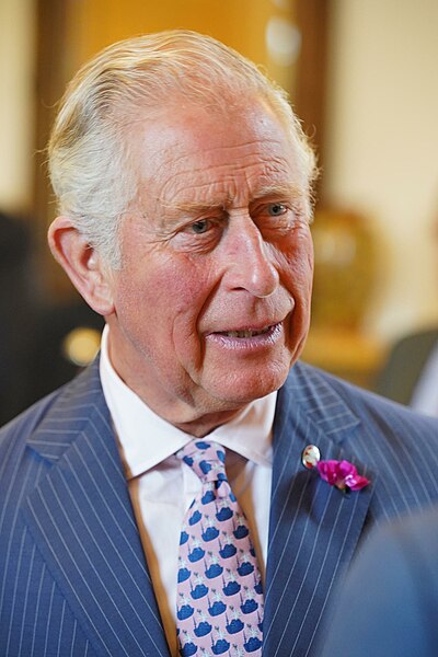 File:Prince Charles Ireland-4.jpg