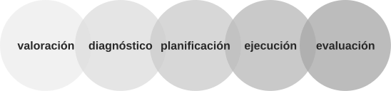 File:Proceso de atención de enfermería (NANDA).svg