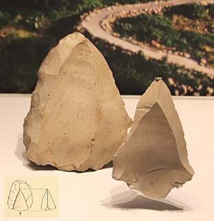 <span class="mw-page-title-main">Levallois technique</span> Distinctive type of stone knapping technique used by ancient humans