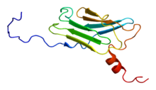 Protein CACYBP PDB 1x5m.png