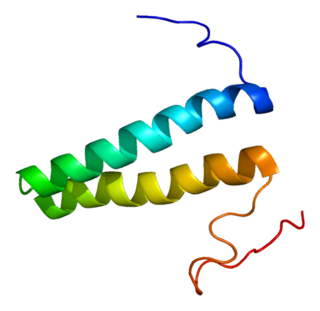 <span class="mw-page-title-main">MARS (gene)</span>