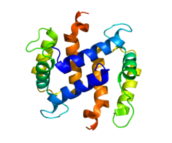 Protein S100A2 PDB 2RGI.png