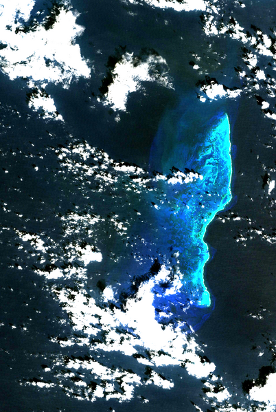 File:Quitasueno Bank (Landsat).png