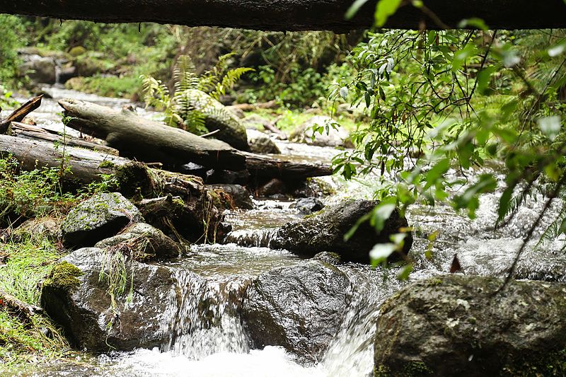 File:Río Santo Desierto.jpg