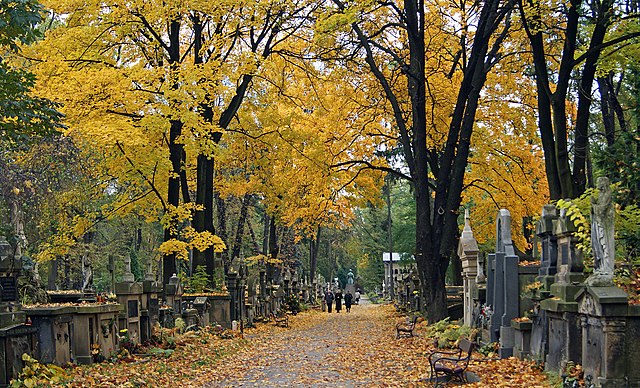 Image: Rakowicki Cemetery, main alley,Krakow,Poland
