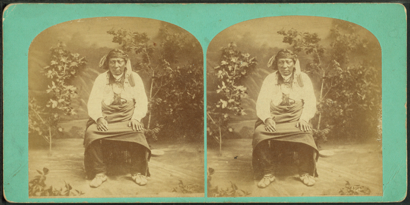 File:Red Dog Sioux Chief, from Robert N. Dennis collection of stereoscopic views.png