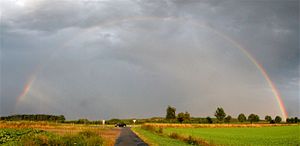 Regenbogen-gesamt.jpg