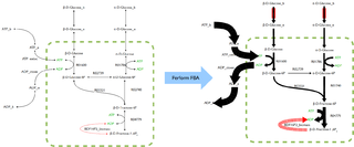 Bioinformatics pathway analysis
