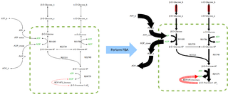 <span class="mw-page-title-main">Flux balance analysis</span>