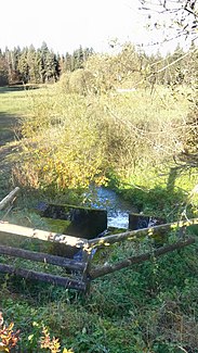 Reutberger Mühlbach at the outlet of the Mühlweiher.