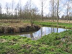 River Blackwater, Essex