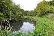 The Kenson River is the Thaw's largest tributary