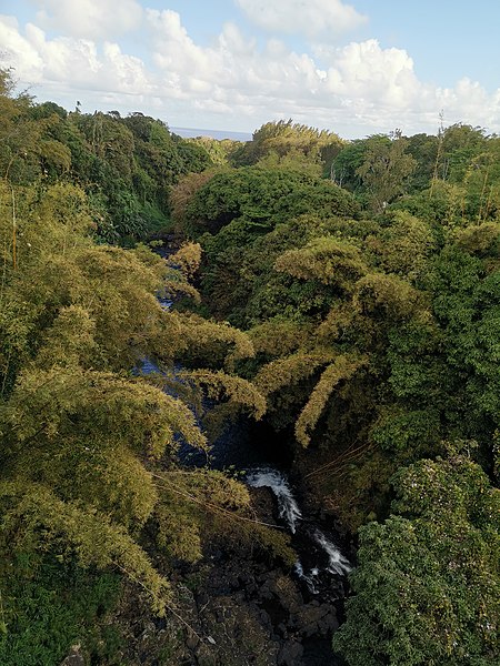 File:Riviere des Anguilles 2019-09-30.jpg