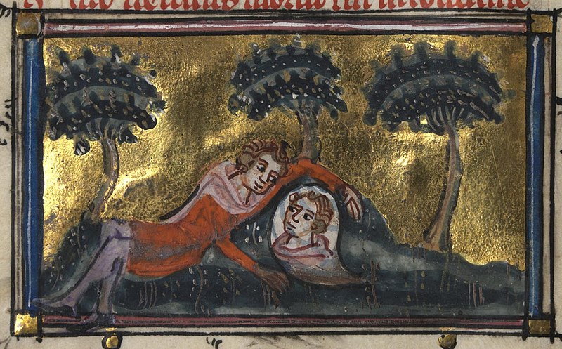 File:Roman de la Rose f. 11v (Narcissus gazes at the spring).jpg