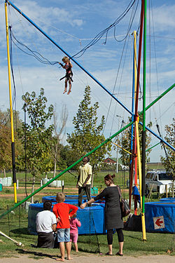 The Bungee Bounce