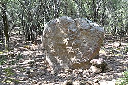 Illustrasjonsbilde av Menhir de Counezeil-artikkelen