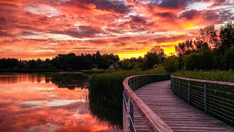 File:Rouge Beach Pond Boardwalk sunrise.jpg