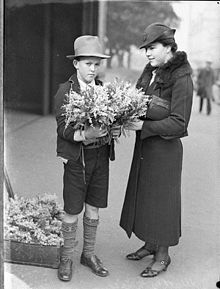 Woman buying wattle for Wattle Day, Sydney, 1935 SLNSW 81869 Wattle Day.jpg