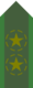 SWE-Armee-OR5a.png