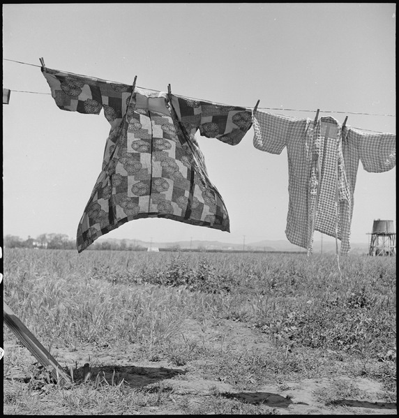 File:San Lorenzo, California. Washday 48 hours before evacuation of persons of Japanese ancestry from th . . . - NARA - 537542.tif