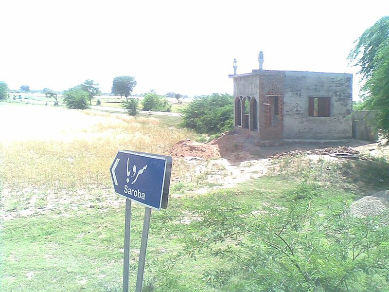 File:Saroba Punjab.jpg