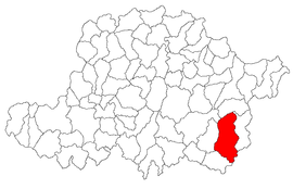 Lage in Arad County