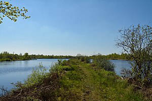 Schleswig-Holstein, Heide, Ostroher-Süderholmer Moor NIK 0158.JPG