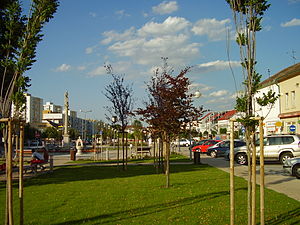 Senec: Polohopis, Časti mesta, Dejiny