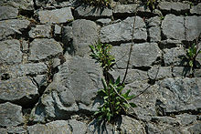 Sheela na gig on town wall in Fethard, County Tipperary, Ireland.