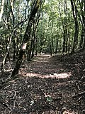 Vignette pour Réserve naturelle du Mont Penna