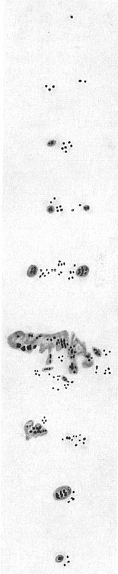 Typische Entwicklung einer großen Fleckengruppe (Typ A bis J) nach Max Waldmeier, Dissertation 1935