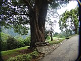 Jardin public Sri Lankais.Category:public gardens in Sri Lanka