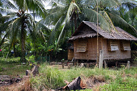 A rural house in Aklan with plain amakan walls