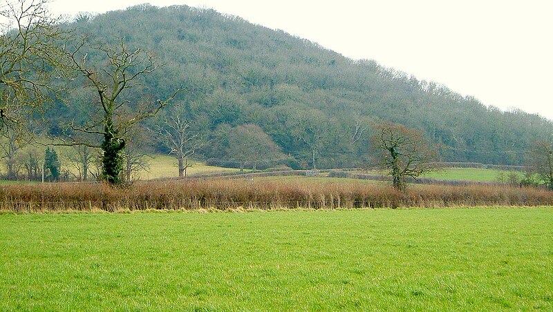 File:Stoke Wood - geograph.org.uk - 3781290.jpg