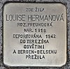 Stolperstein für Louise Hermanova (Svitavy).jpg