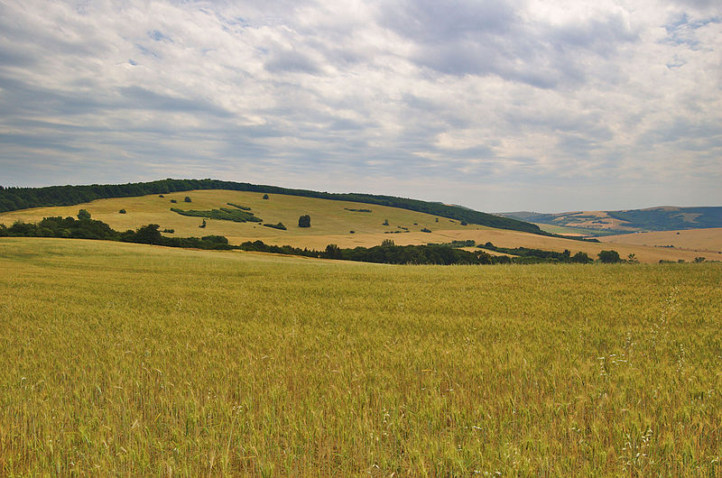 File:Stráň, Vrbovce, okres Myjava (02).jpg