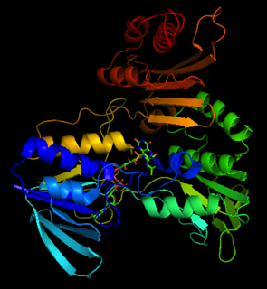 NADH peroxidase