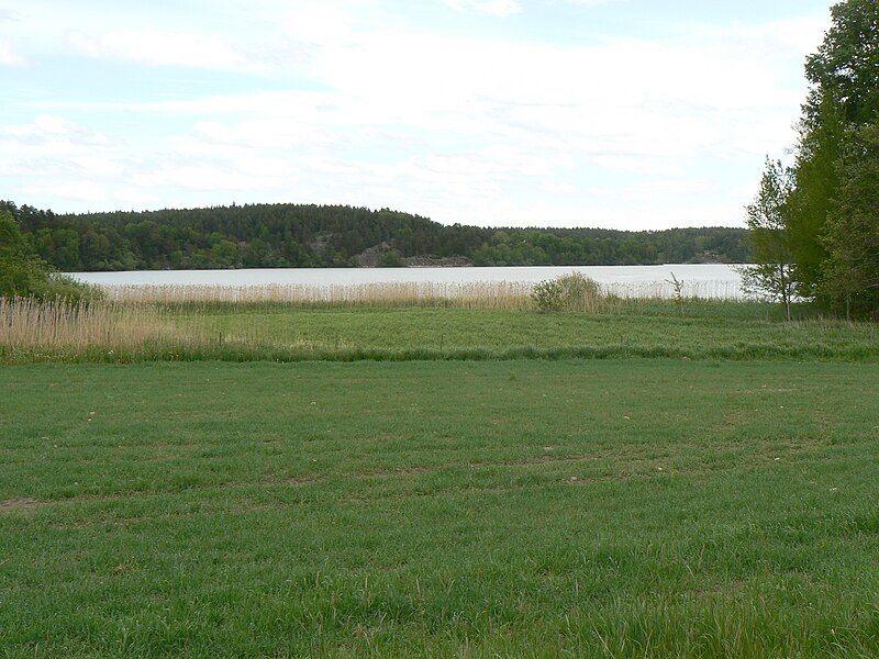 File:Svinstadsjön2.JPG