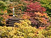 Tanzan Shrine, Sakurai