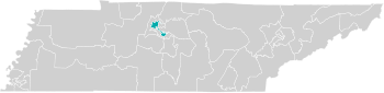 Tennessee Senate District 19 (2023-).svg