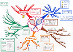 Miniatura para Mapa mental