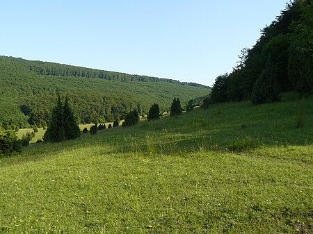 Thüringen, Wiesenthaler Schweiz, NSG 145