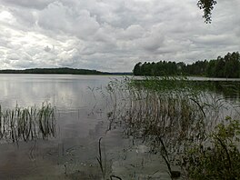 The Lake Onkivesi in Väänälänranta, Maaninka, Finland.jpg